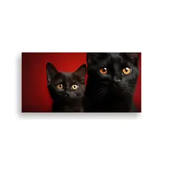 GENERICO - Pinturas Decorativas De Gatos Animados Negros En 80x40 Cm