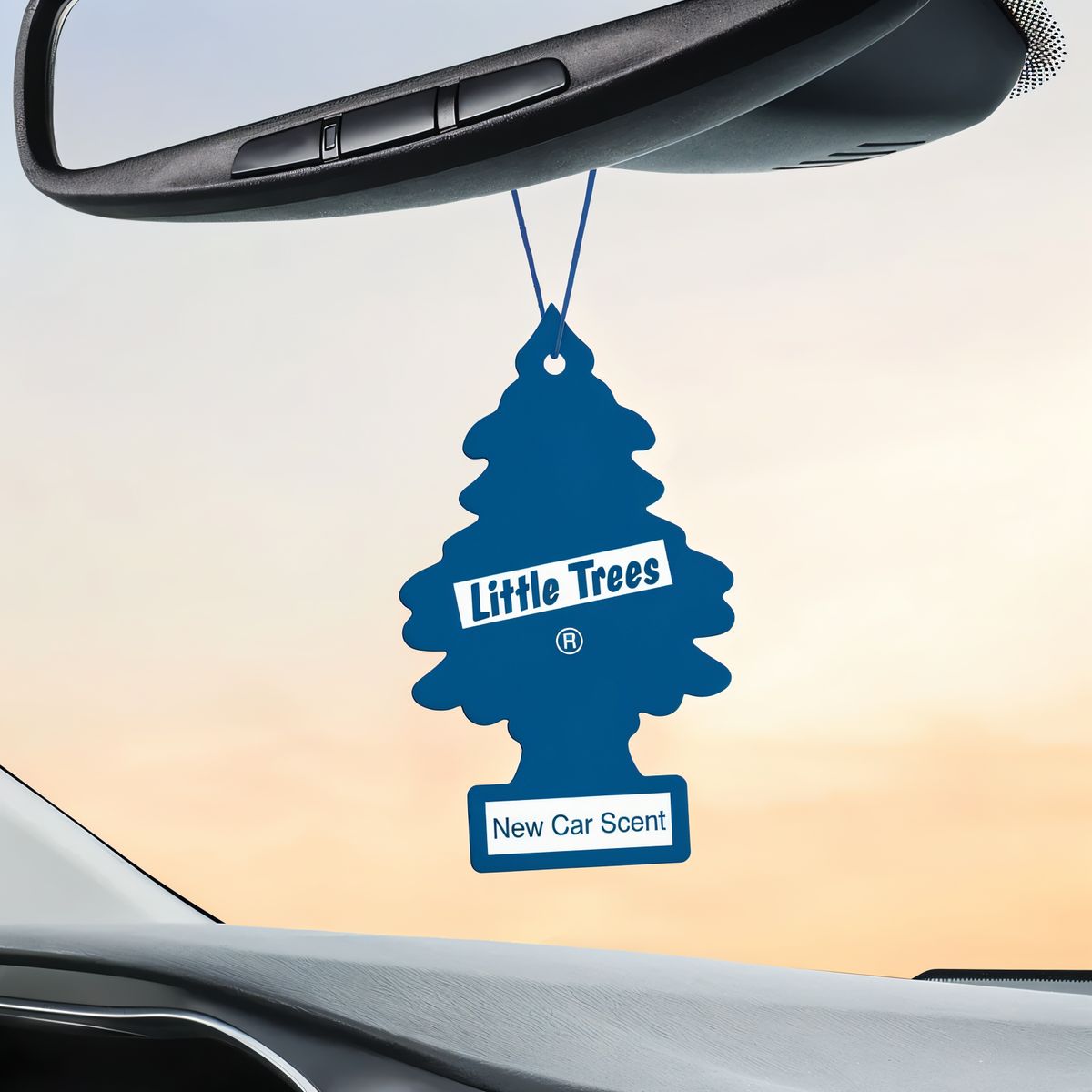 LITTLE TREES - Pack 24 Pinos Aromatizantes Little Trees Aroma New Car
