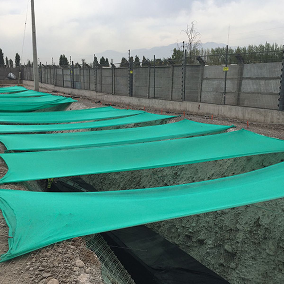 TREETOP - Malla Raschel Sombra Lisa 80% 4,20 × 5 mts Color Verde