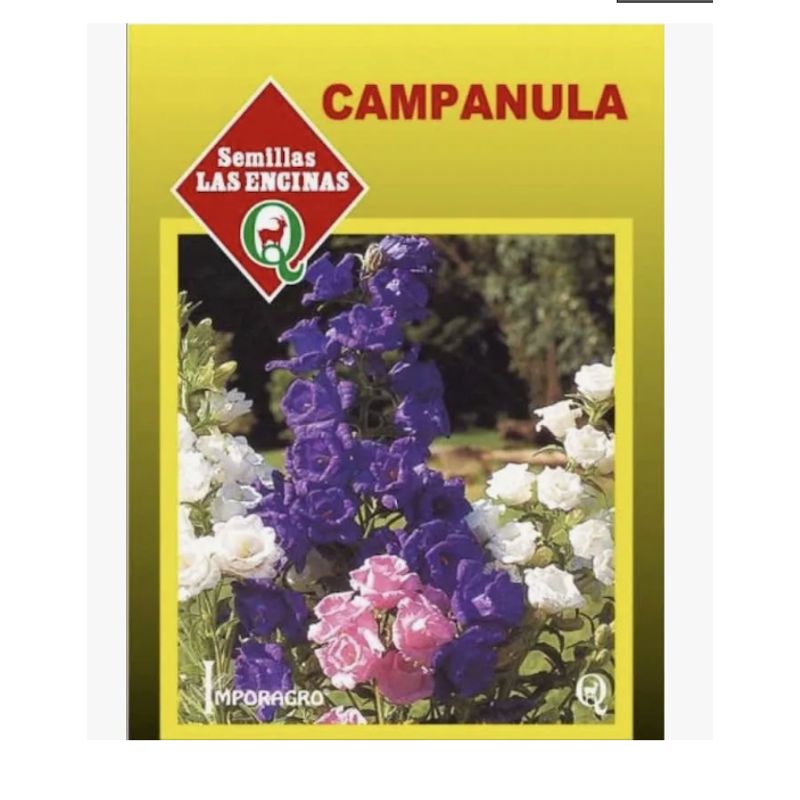 LAS ENCINA - Semillas Certificadas Flor Campanula farolito Huerto