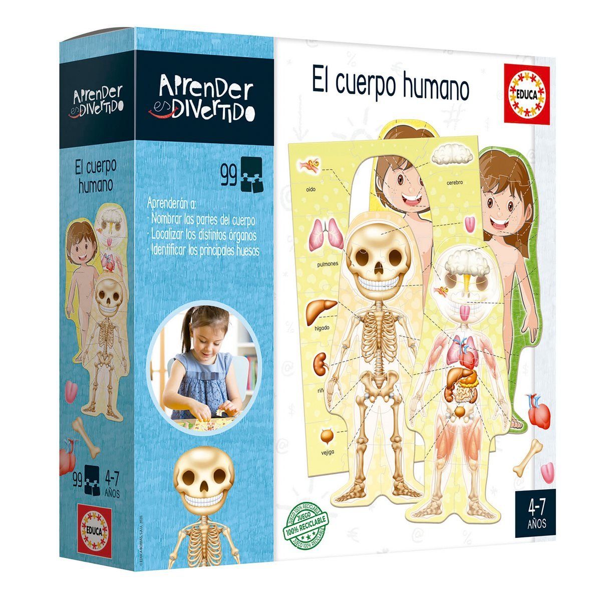 EDUCA - Rompecabezas EDUCA 99 piezas Aprendo el Cuerpo Humano