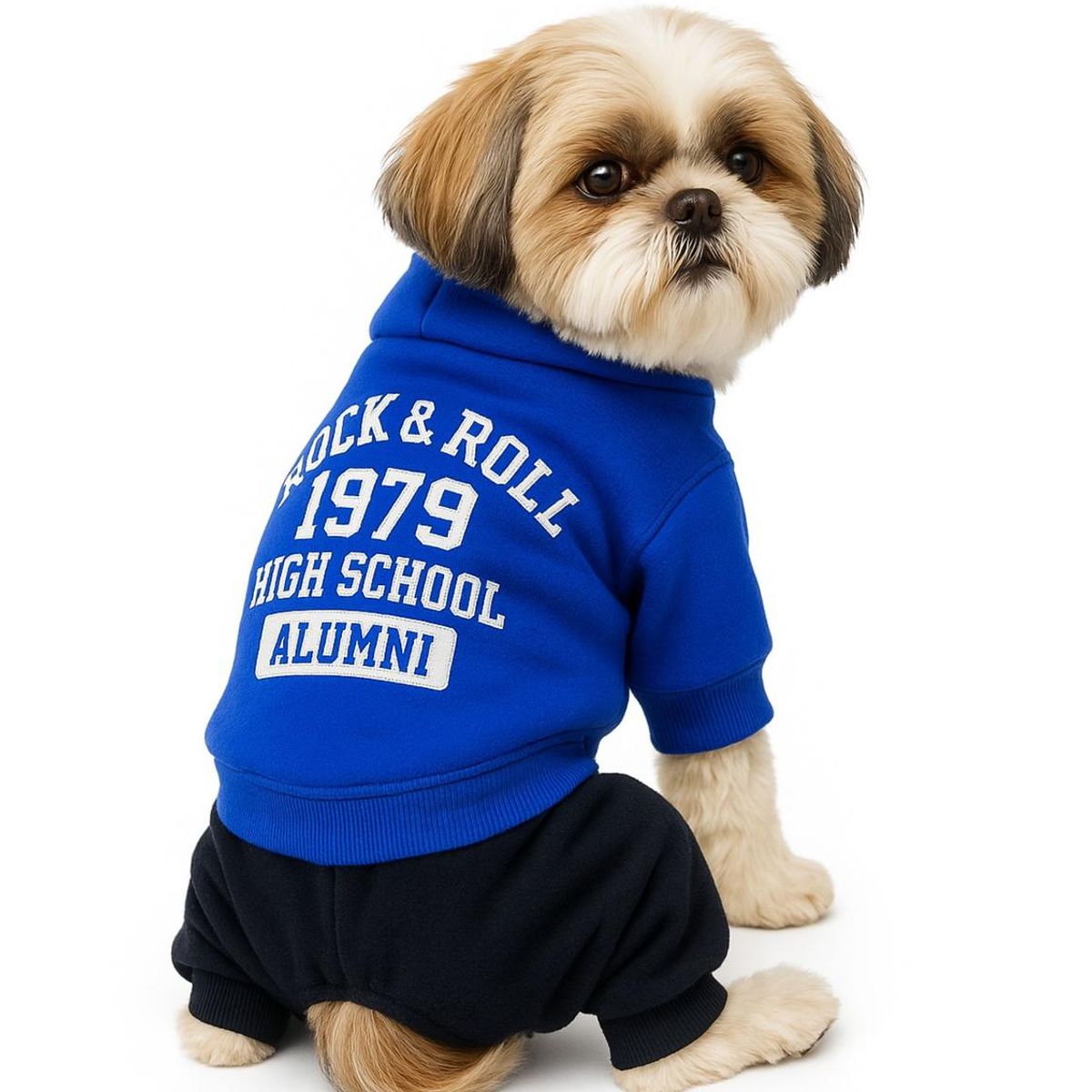 GENERICO - Ropa para mascota Rock polar Talla L 35x22 CM - Azul