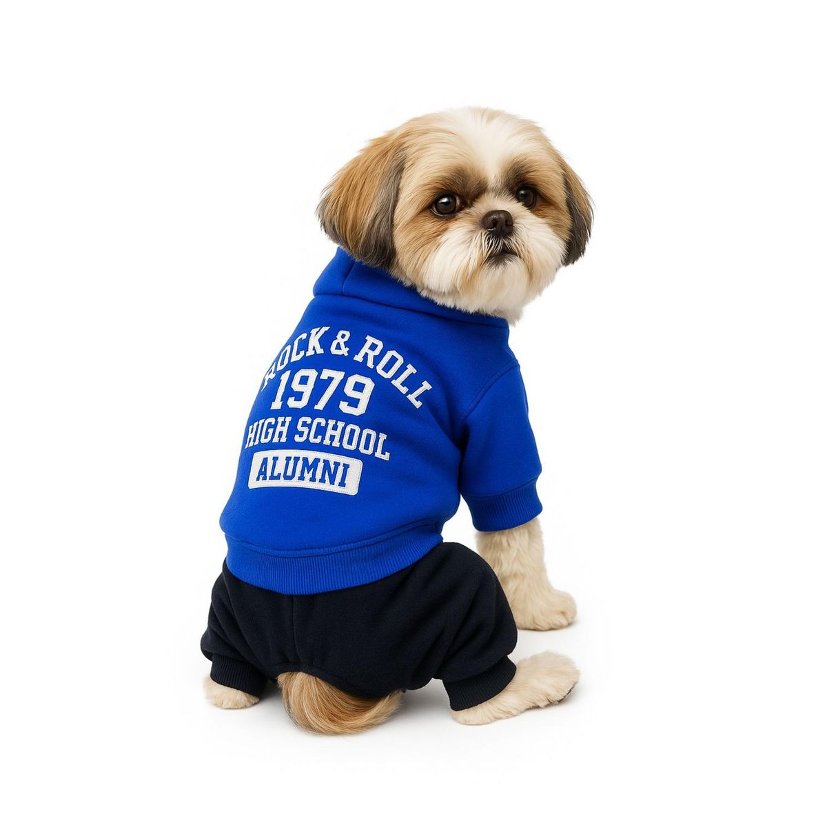 GENERICO - Ropa para mascota Rock polar Talla L 35x22 CM - Azul