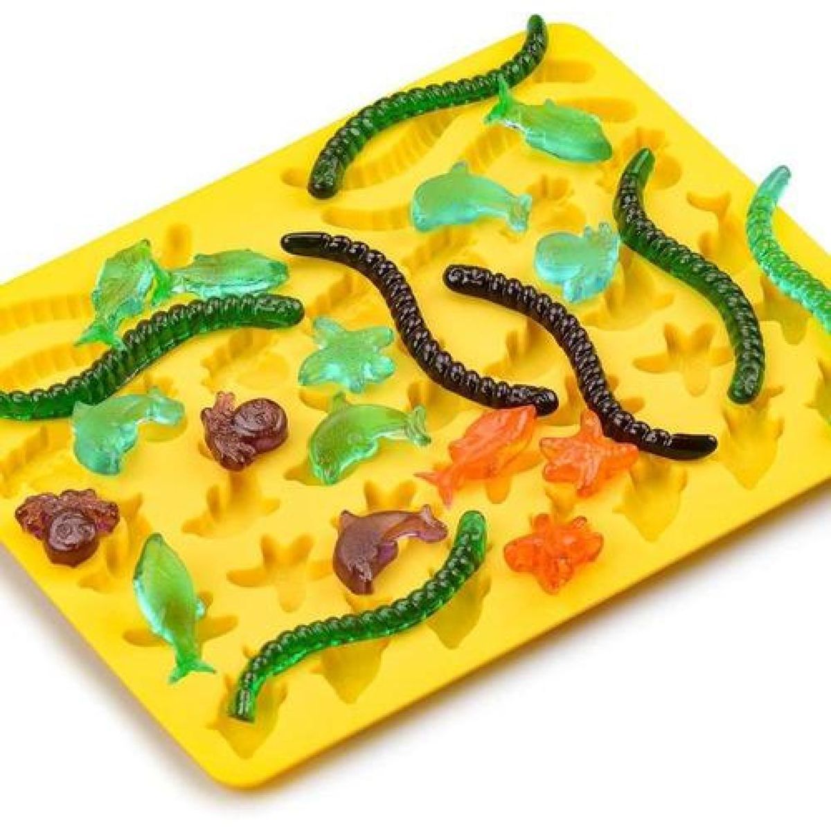 GENERICO - Molde De Silicona Bajo Del Mar + Gusano Mundo Marino - Verde.