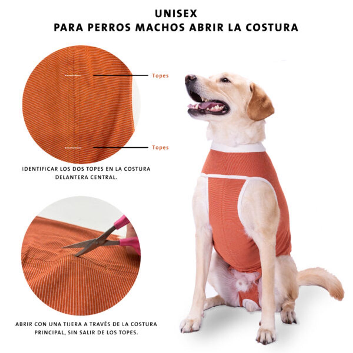 KIMBAVET - BodyCobre® Kimba Castración Macho - Talla 0 (1.5 - 2.5 Kg)