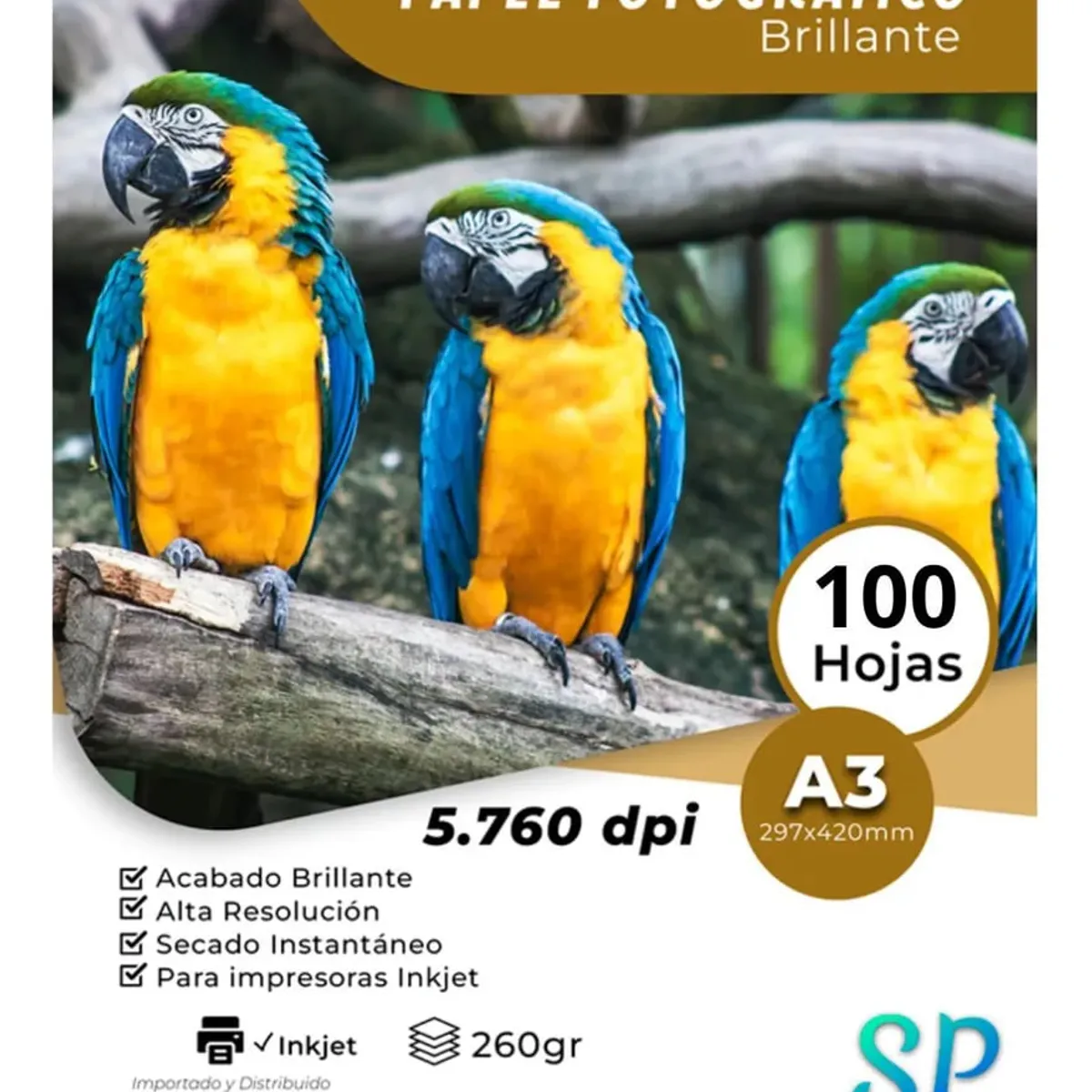 GENERICO - Papel Fotográfico Glossy 260 g A3 Brillante X 100 Hojas