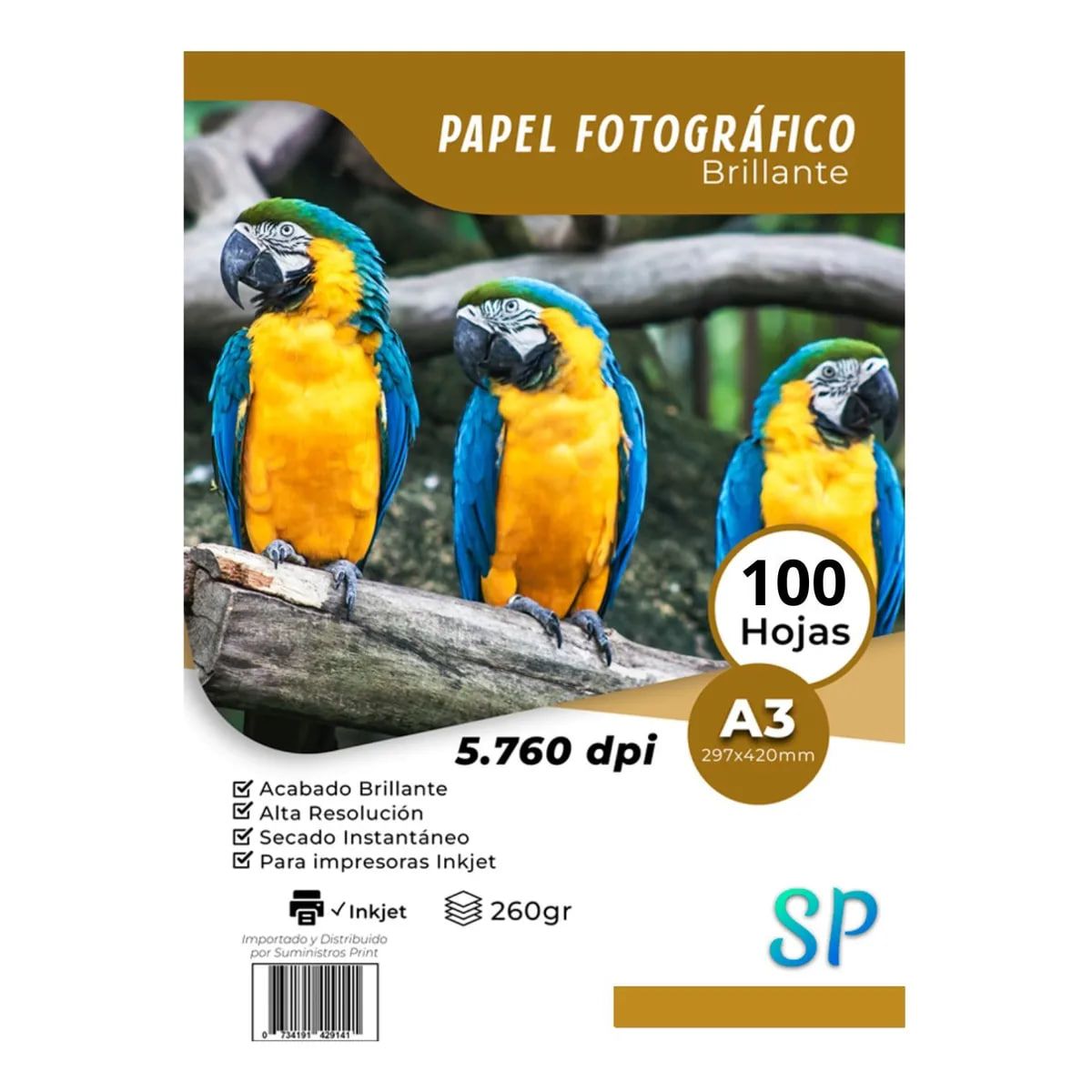 GENERICO - Papel Fotográfico Glossy 260 g A3 Brillante X 100 Hojas