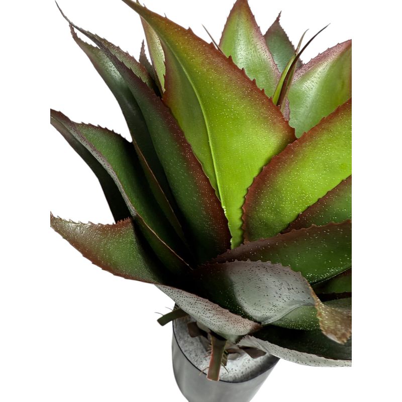 COREL - Agave con filtro UV 56 cm