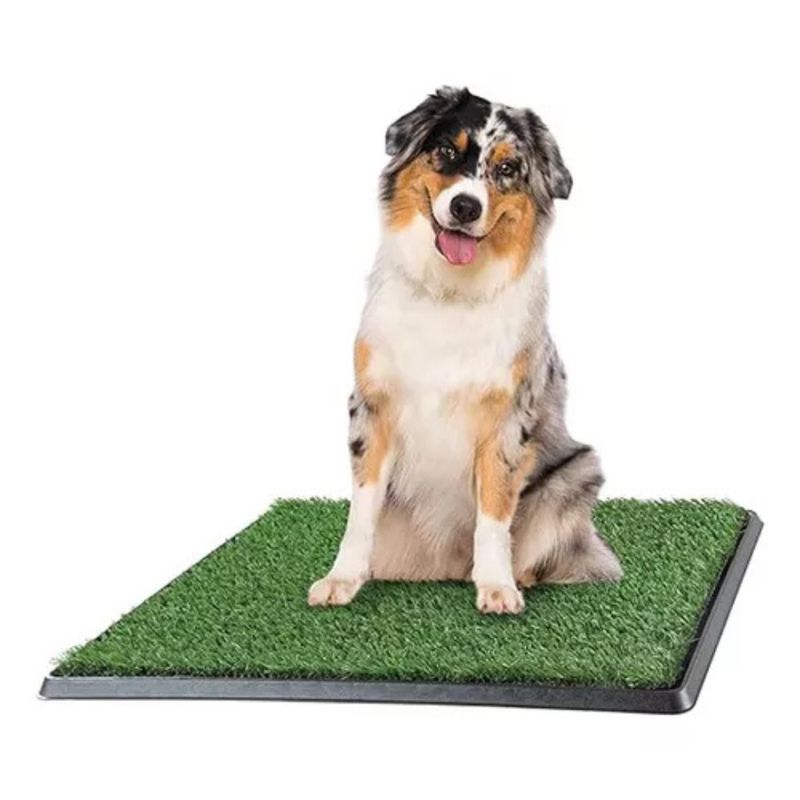 GENERICO - Baño Ecológico para Perros Pequeños con Césped Sintético