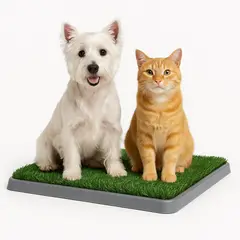 GENERICO - Bandeja Antimicrobiana Entrenamiento Perros y Gatos