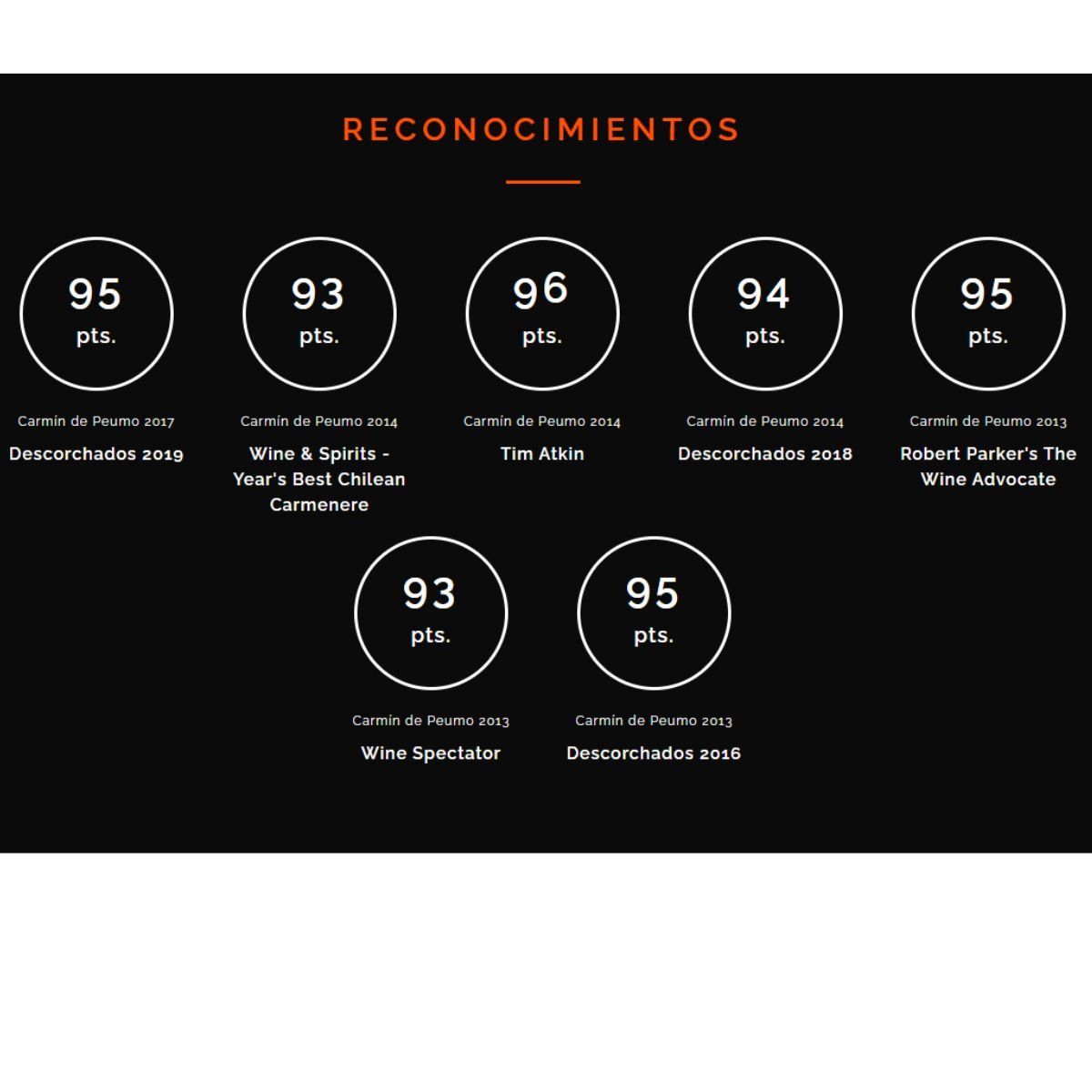 VIÑA CONCHA Y TORO - Vino Carmin De Peumo Carmenere 2019 750ml