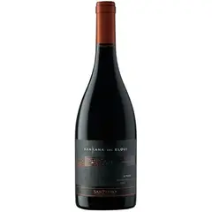 SAN PEDRO - KANKANA DEL ELQUI SYRAH 750 ML