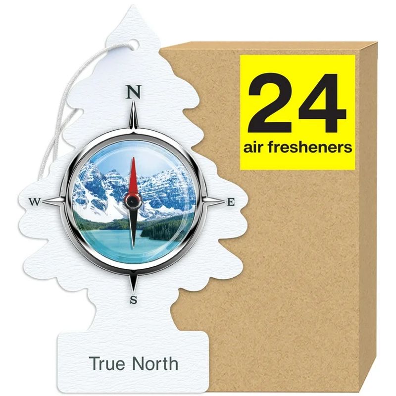 LITTLE TREES - Pack 24 Pinos Aromatizantes Little Trees Aroma True North