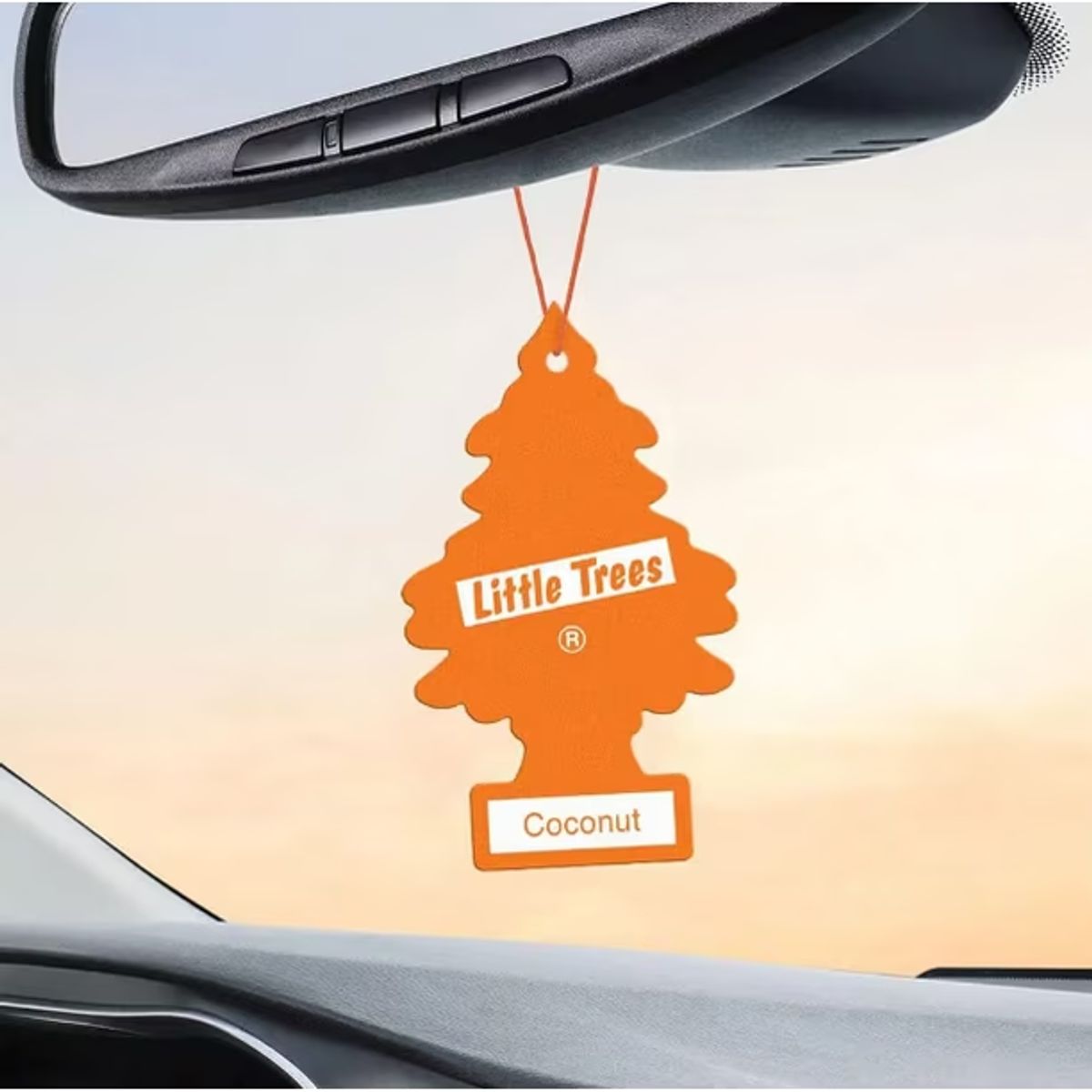 Pack 24 Pinos Aromatizantes Little Trees Aroma Coco/Coconut, marca LITTLE TREES - Foto 2
