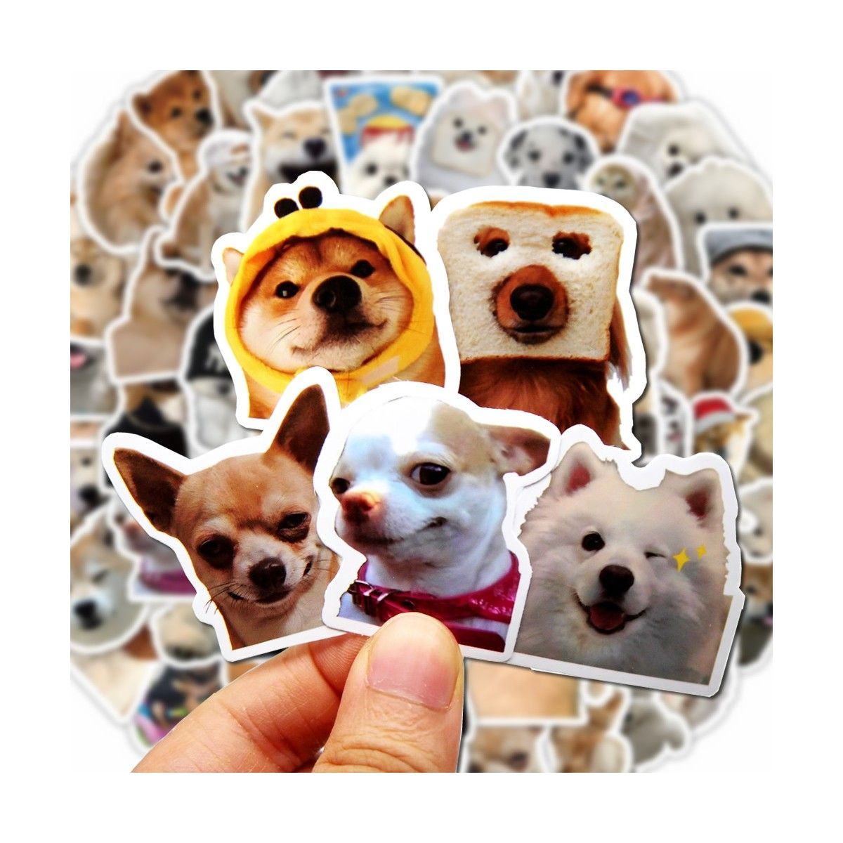 GENERICO - Pack Sticker pegatinas divertidos Perros Memes