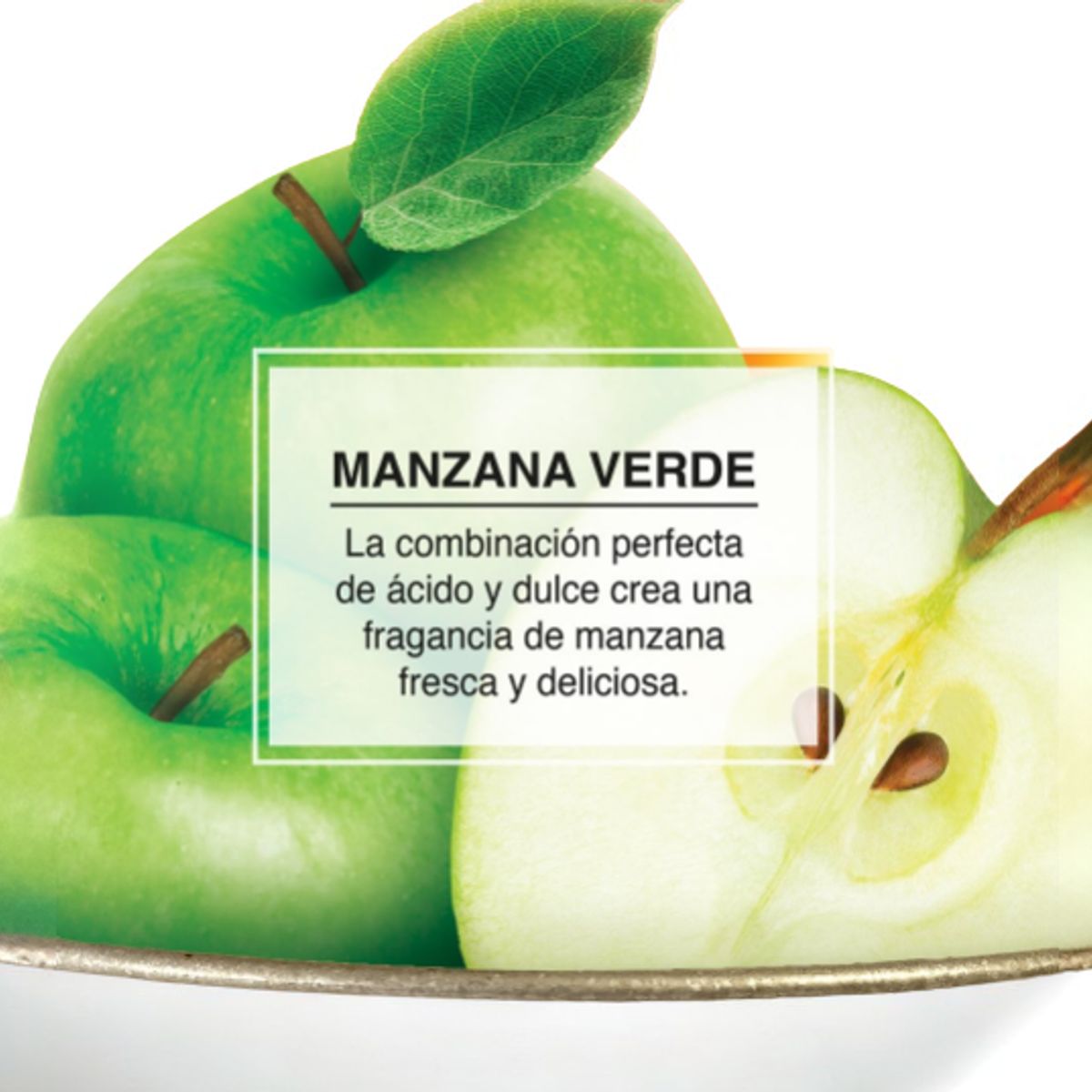 LITTLE TREES - Pack 24 Pinos Aromatizantes Little Trees Aroma Manzana Verde