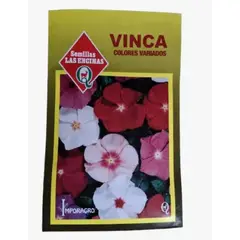 LAS ENCINA - Semillas Certificadas Flor Vinca Rosea Huerto