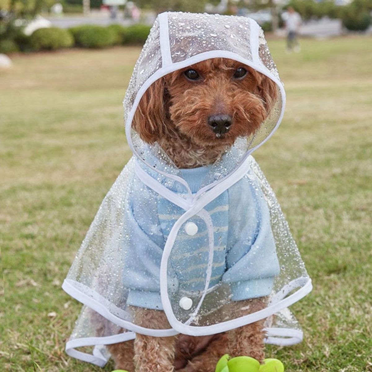 GENERICO - Capa De Lluvia Impermeable Transparente Para Perro Mascota M