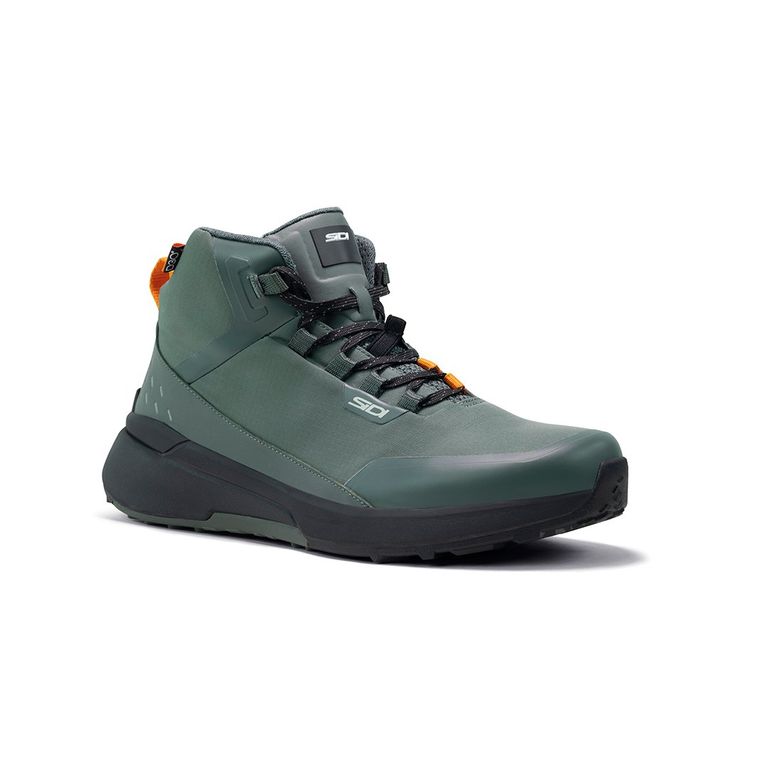 Botin Nucleus IvyBlack