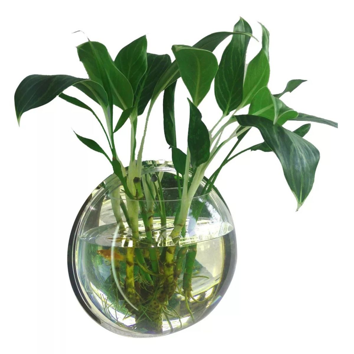 CRUSEC - Maceta Colgante De Acrílico Transparente Pared 26cm