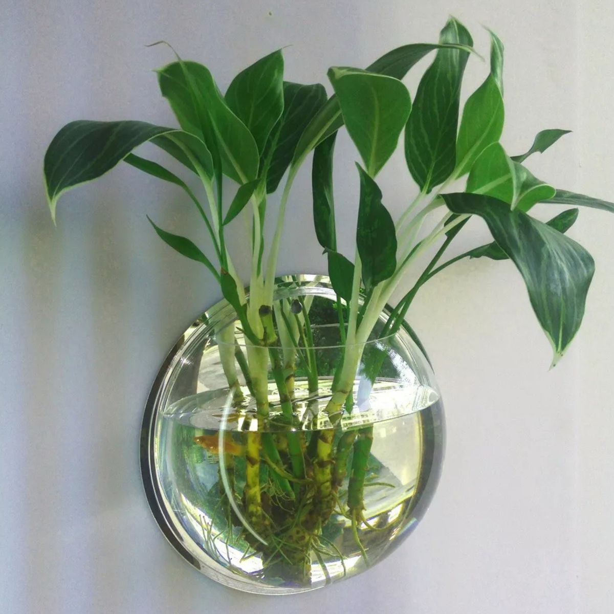 CRUSEC - Maceta Colgante De Acrílico Transparente Pared 26cm