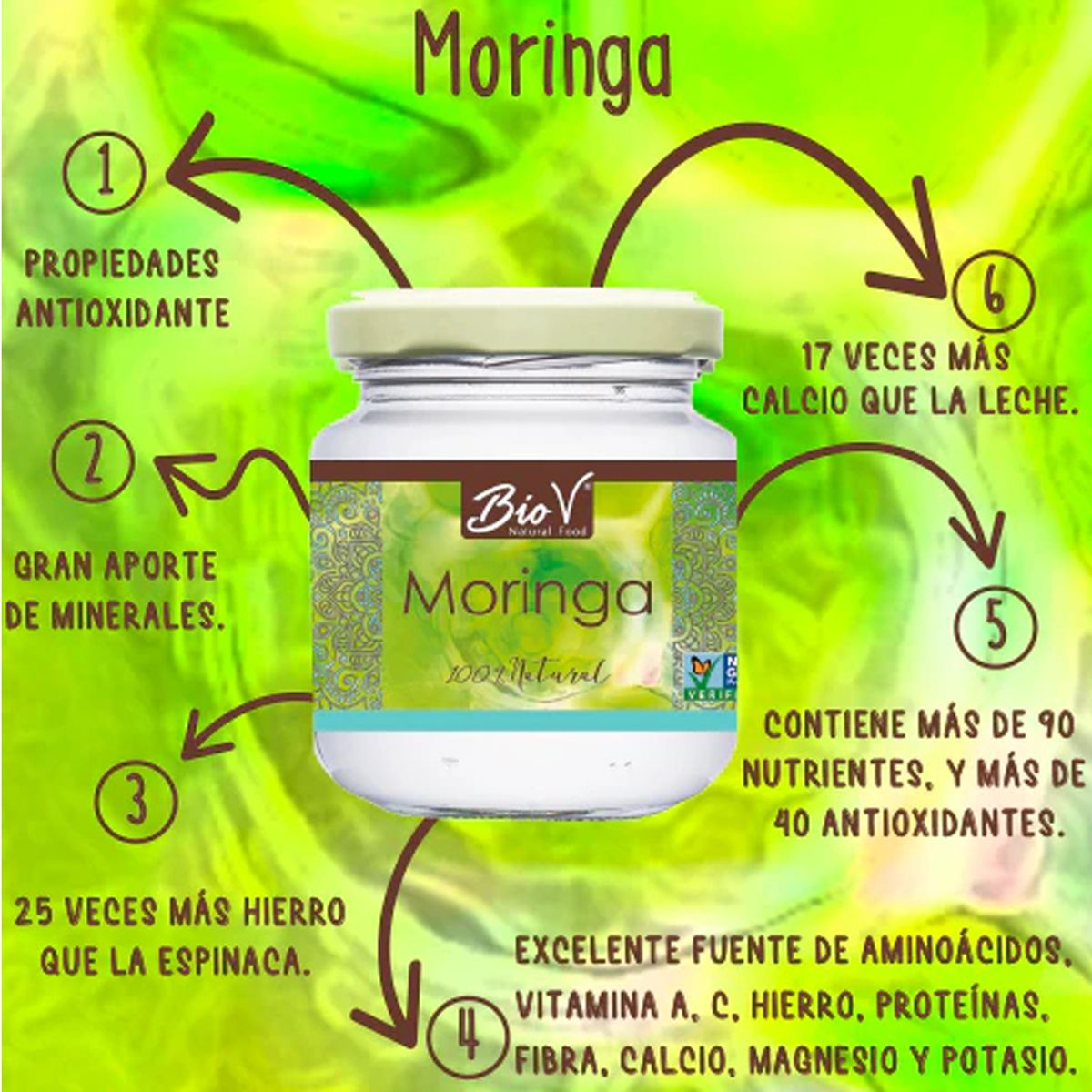 BIOV - Moringa 100g Sin Gluten Vegano Bio V