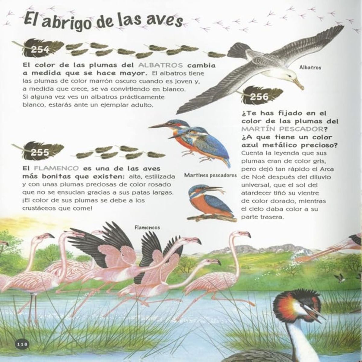 SUSAETA - 501 preguntas y respuestas sobre los animales