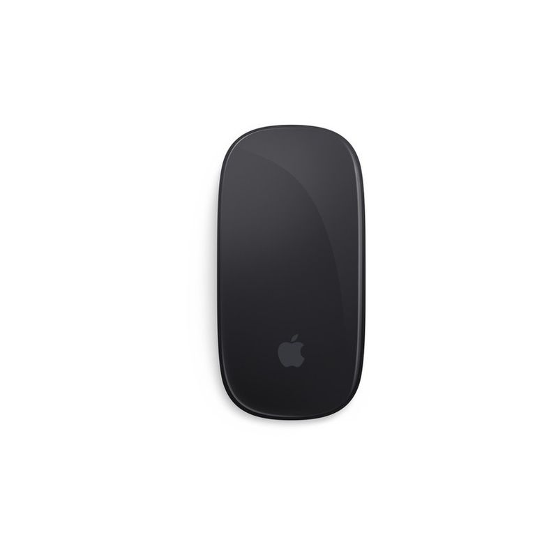 APPLE - Apple magic mouse 2 gris espacial