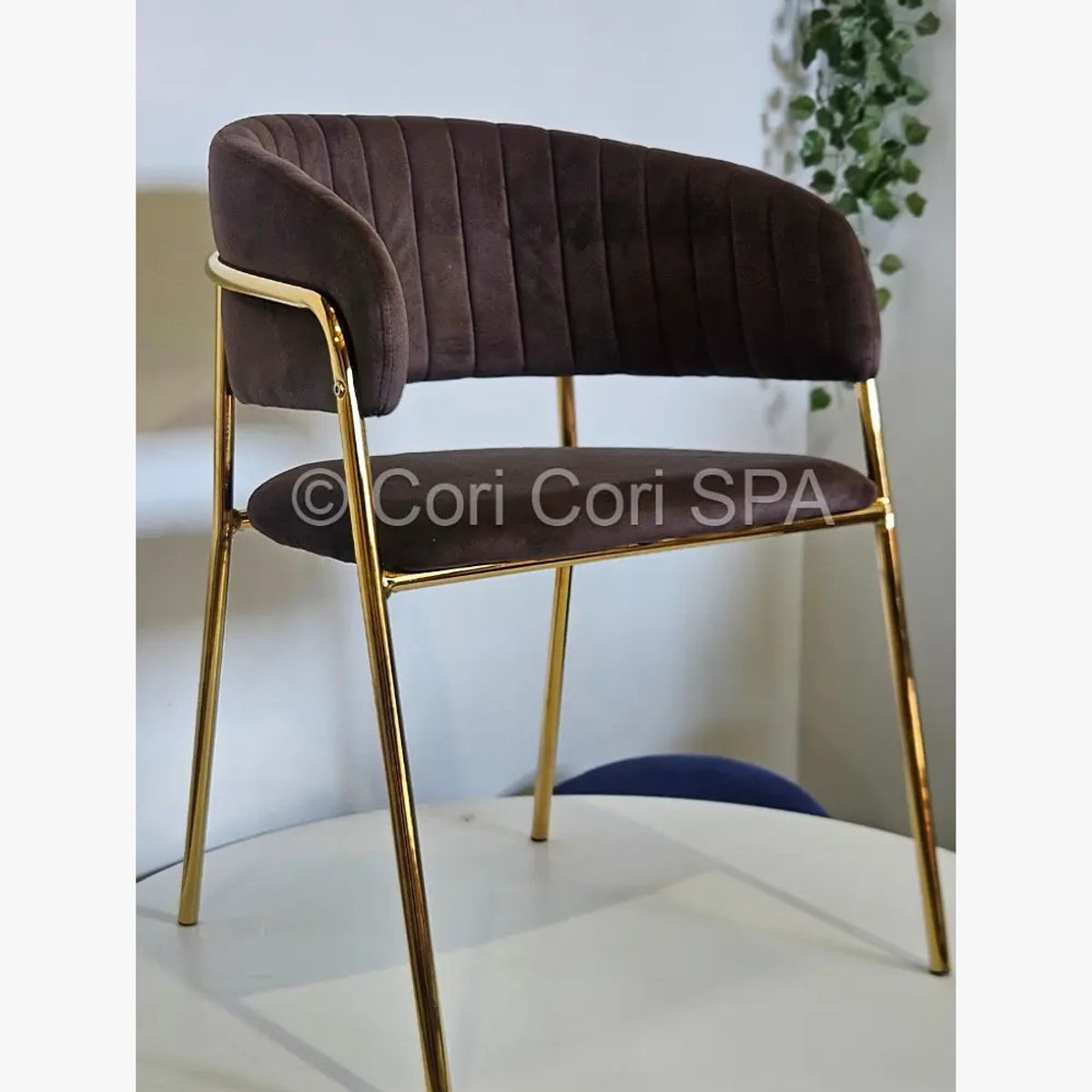 CORI CORI - Sitial Max Gold Cafe