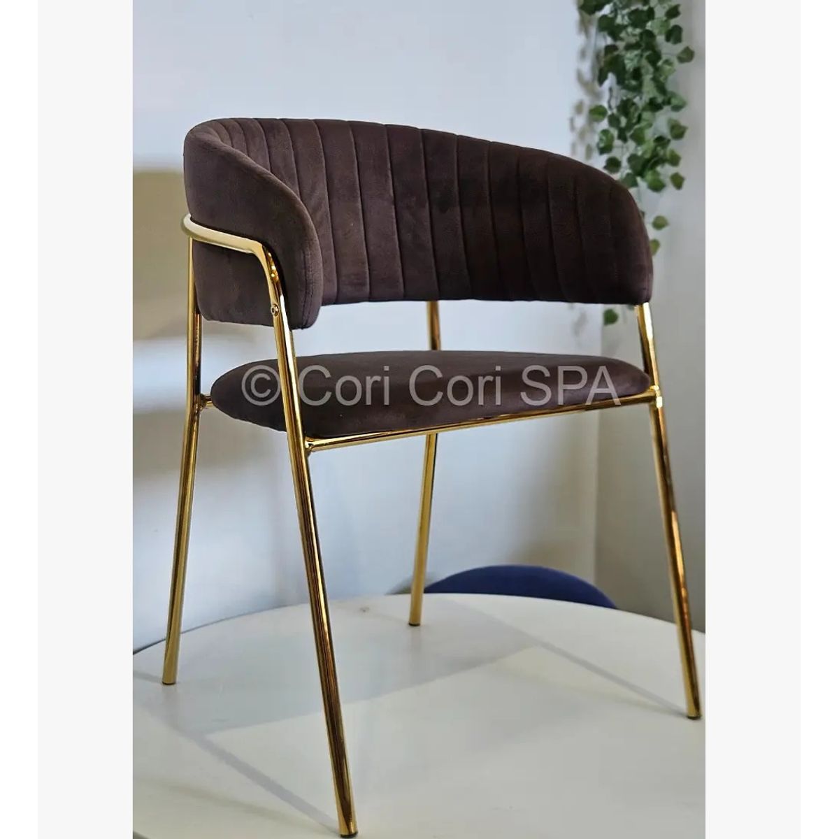 CORI CORI - Sitial Max Gold Cafe