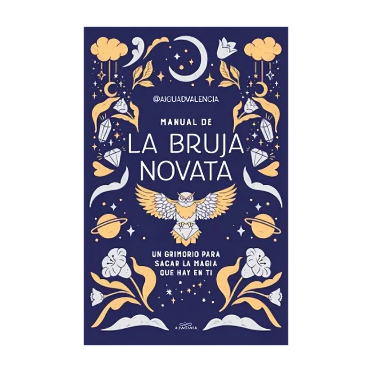 TOP10BOOKS - LIBRO Manual De La Bruja Novata - Manual De La Bruja Novata
