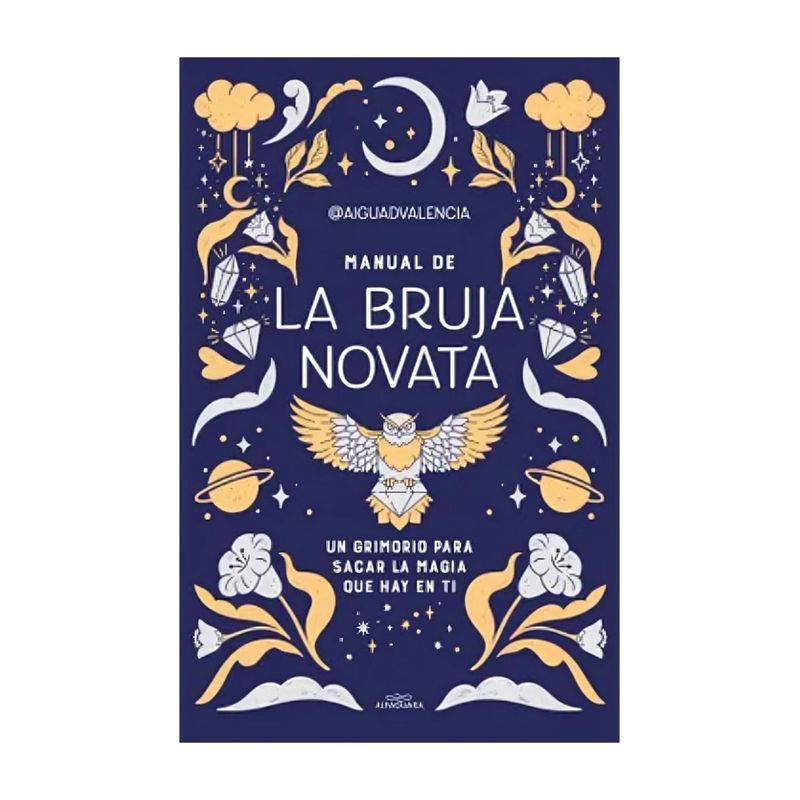 TOP10BOOKS - LIBRO MANUAL DE LA BRUJA NOVATA / - AAIGUADVALENCIA / ALFAGUARA INFANTIL JUVENI