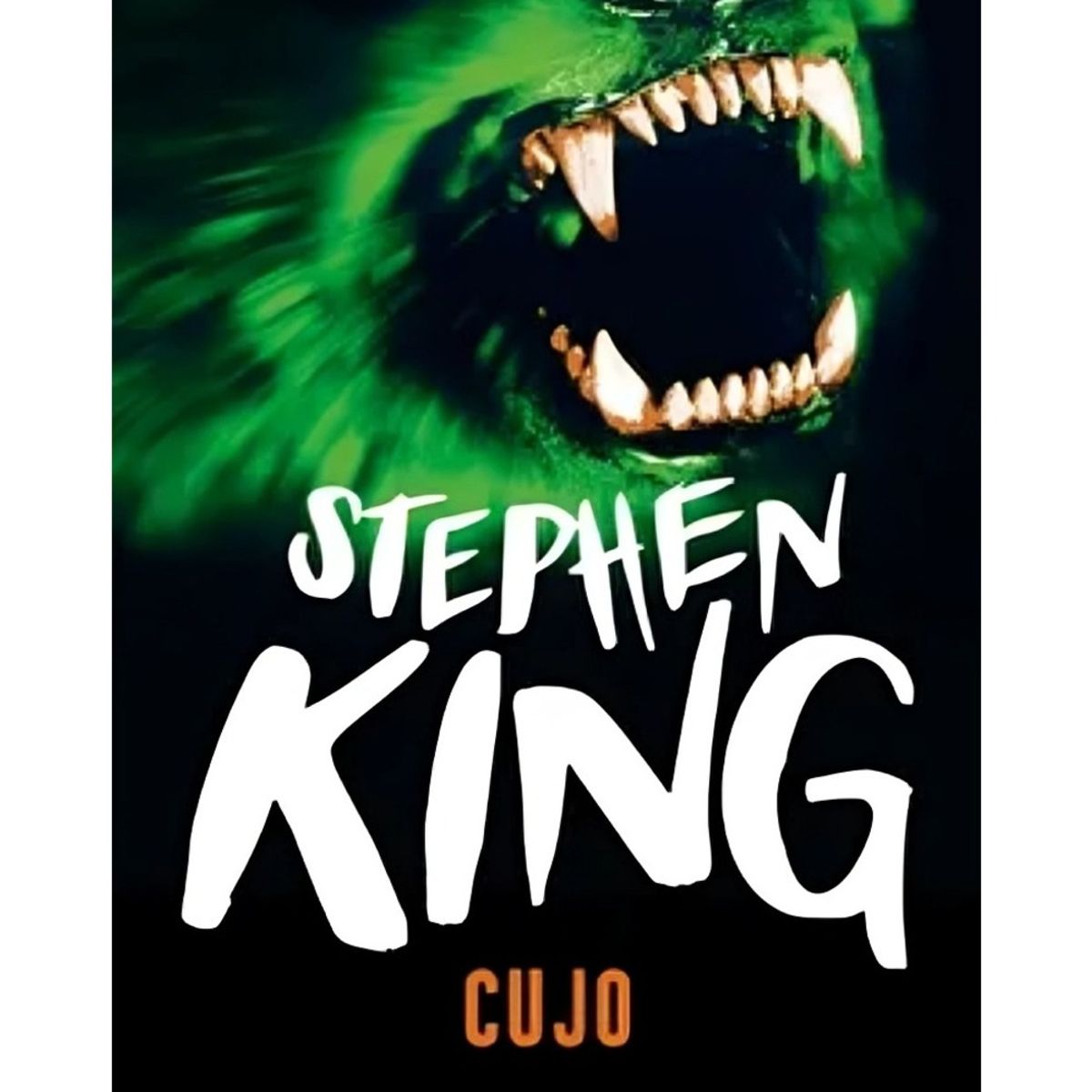 TOP10BOOKS - LIBRO Cujo - Stephen King