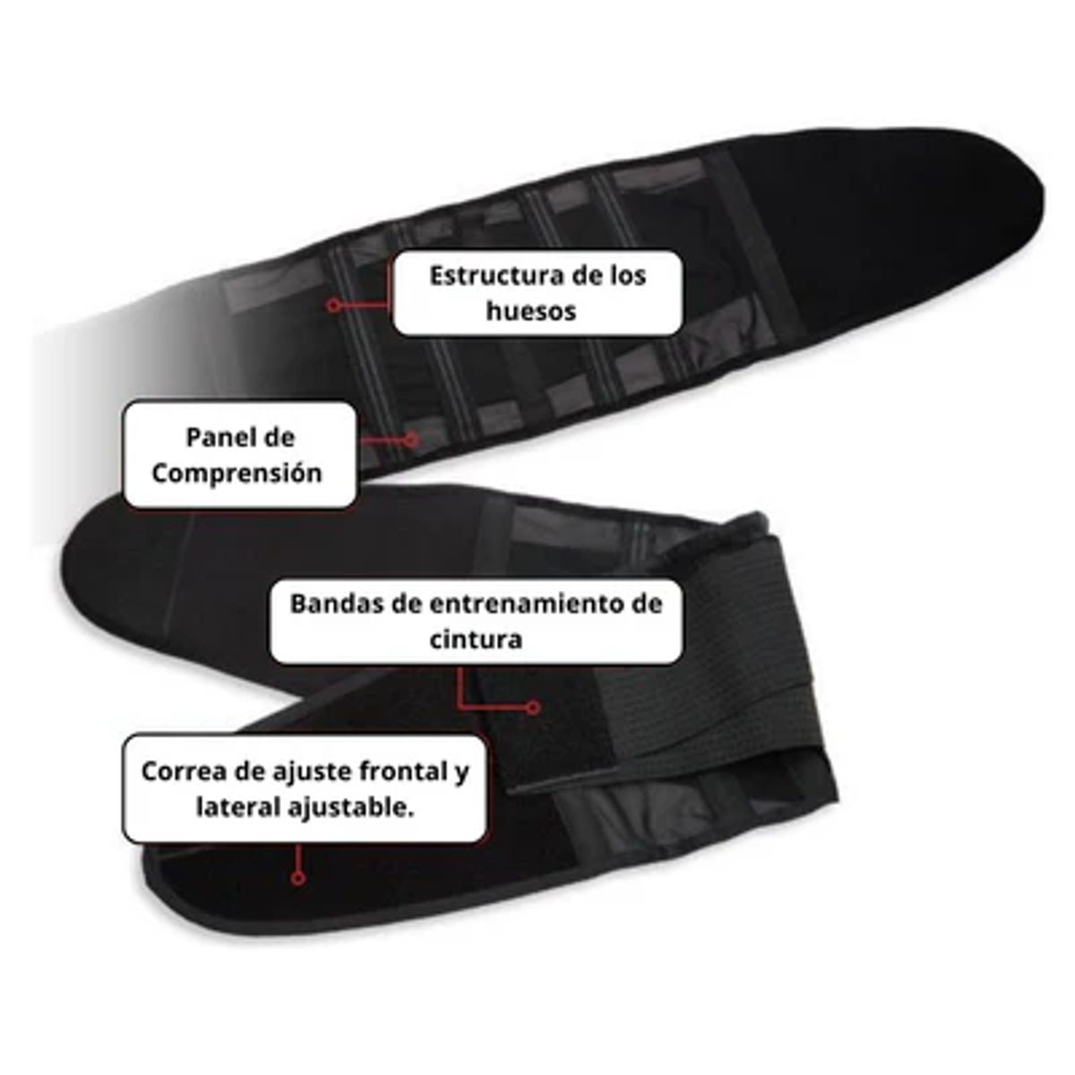 MOVI - FAJA CINTURA DE AVISTA