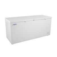 Congelador Dual 600 lt Tapa Dura Freezer