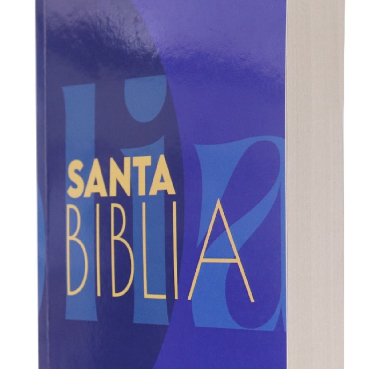 SOCIEDAD BIBLICA CHILENA - Biblia Reina Valera 1960 Tapa Rústica Económica Misionera