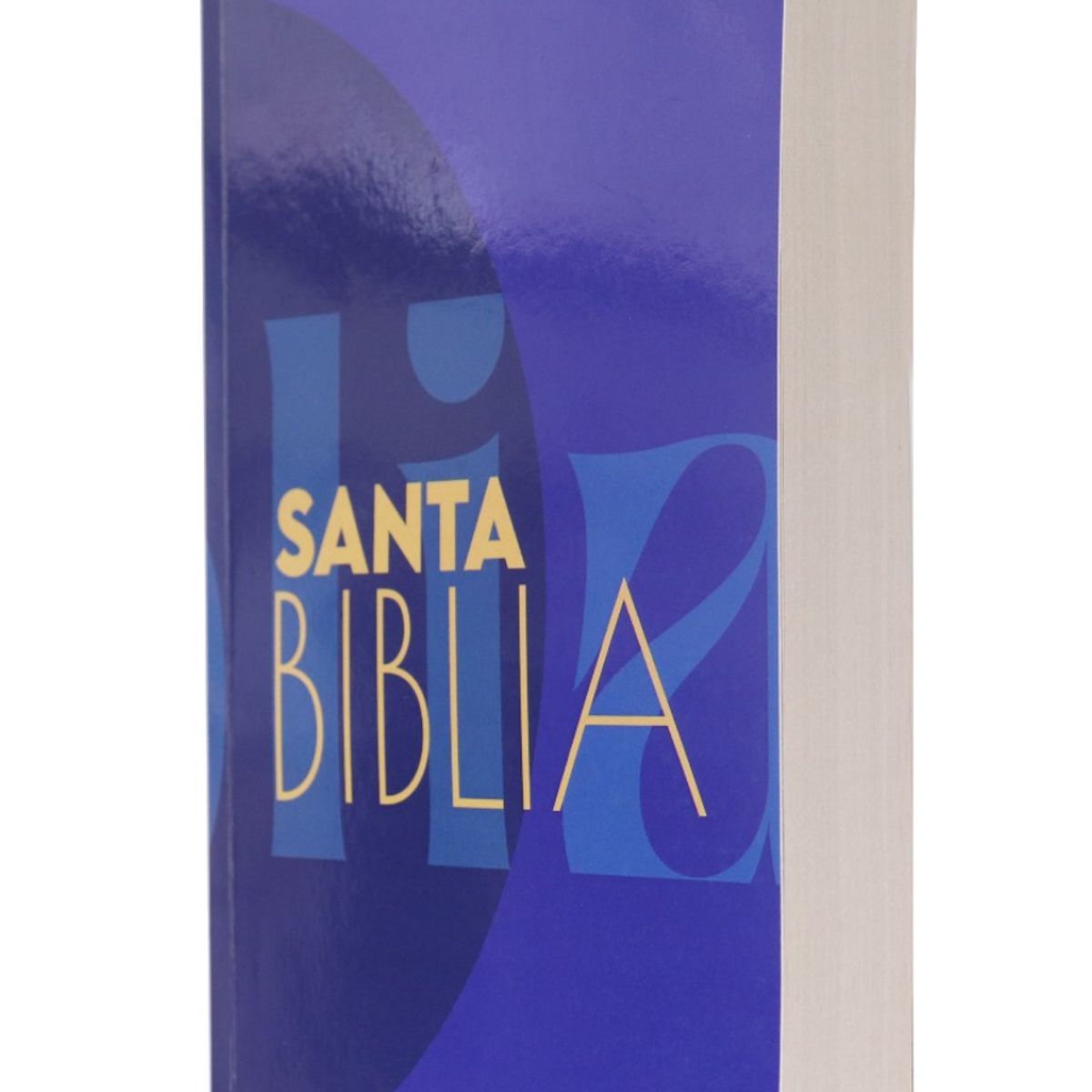 SOCIEDAD BIBLICA CHILENA - Biblia Reina Valera 1960 Tapa Rústica Económica Misionera