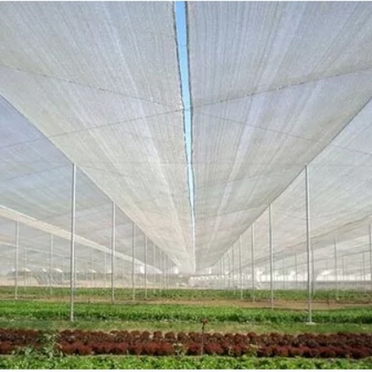 MARIENBERG - Malla Raschel Sombra Lisa 65%  420 × 100 m Color Blanco