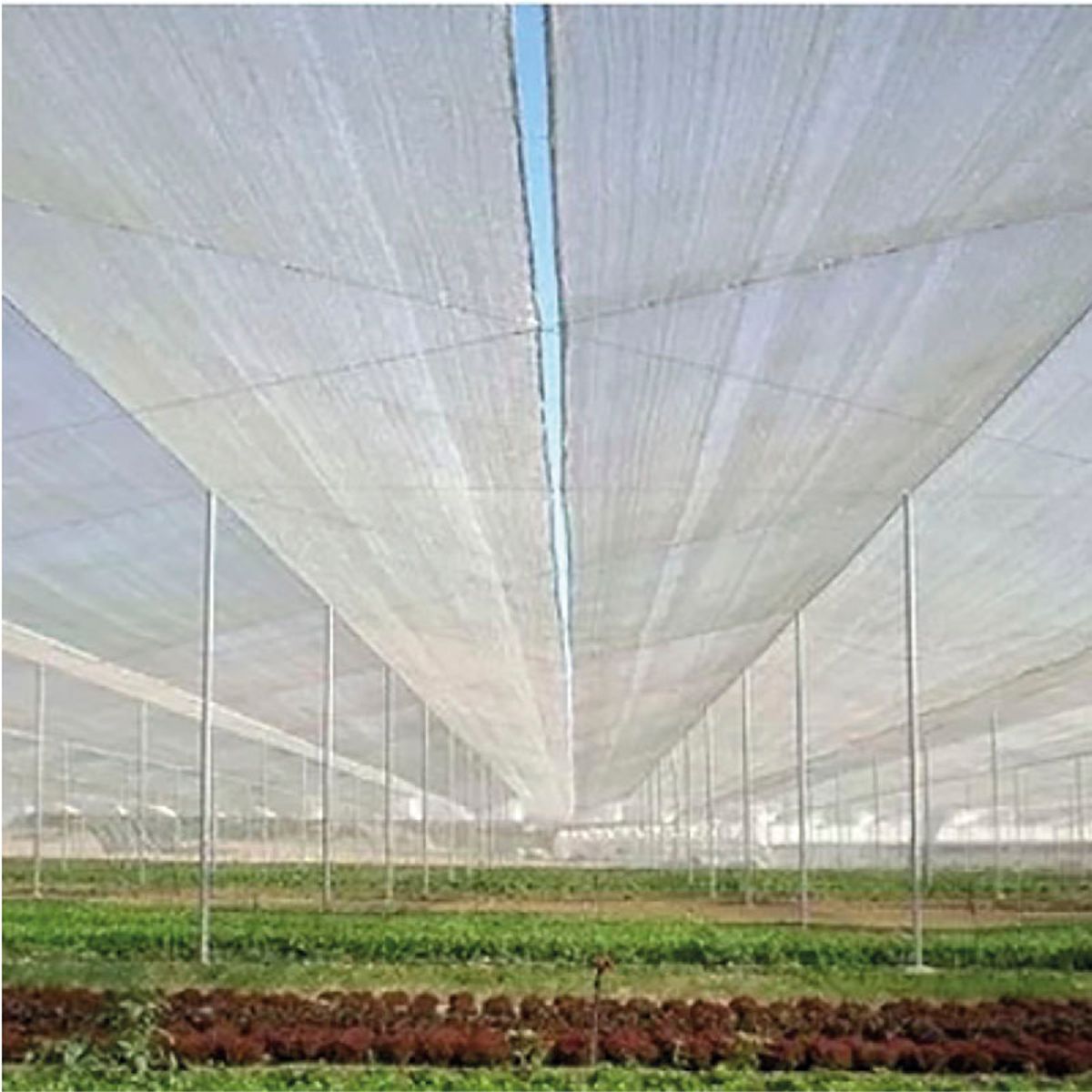 MARIENBERG - Malla Raschel Sombra Lisa Construcción de 2,10 × 100 m Blanco