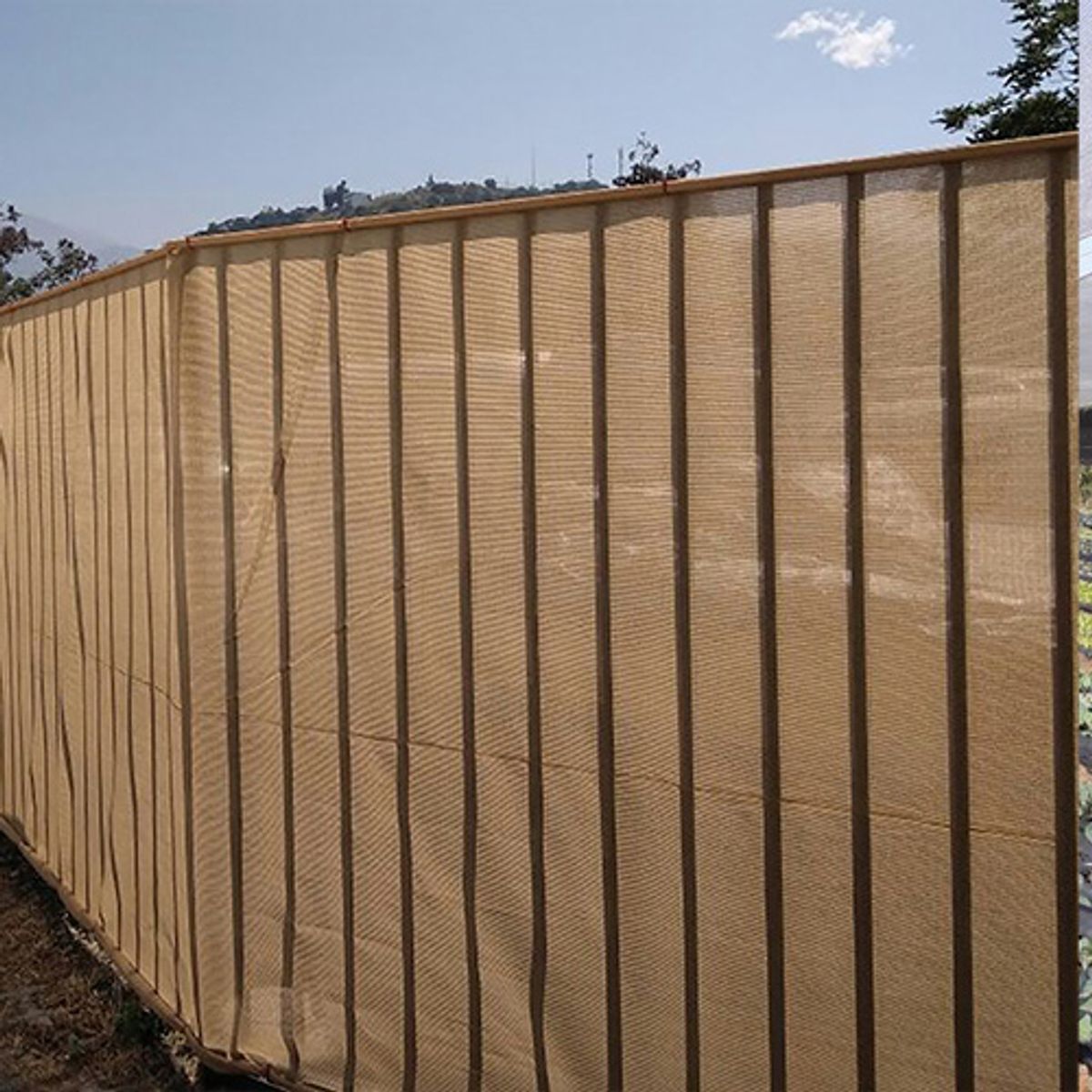 MARIENBERG - Malla Raschel Sombra lisa 90% 420 × 50 mts Color Beige