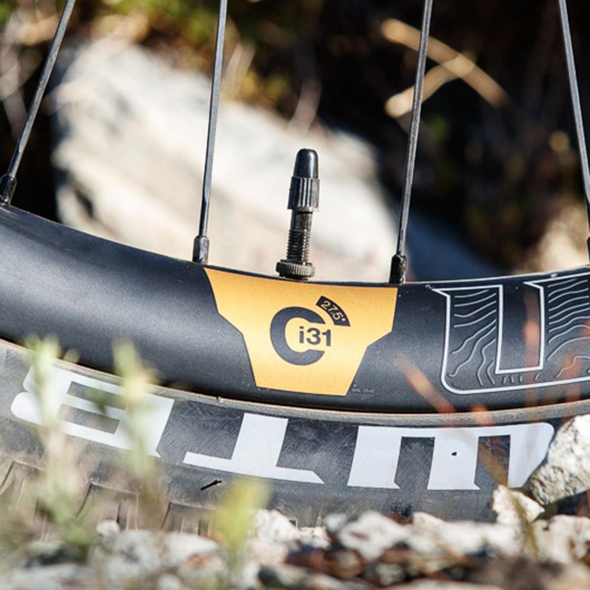 WTB - Válvula WTB Presta TCS 46mm Aluminio Verde 2U