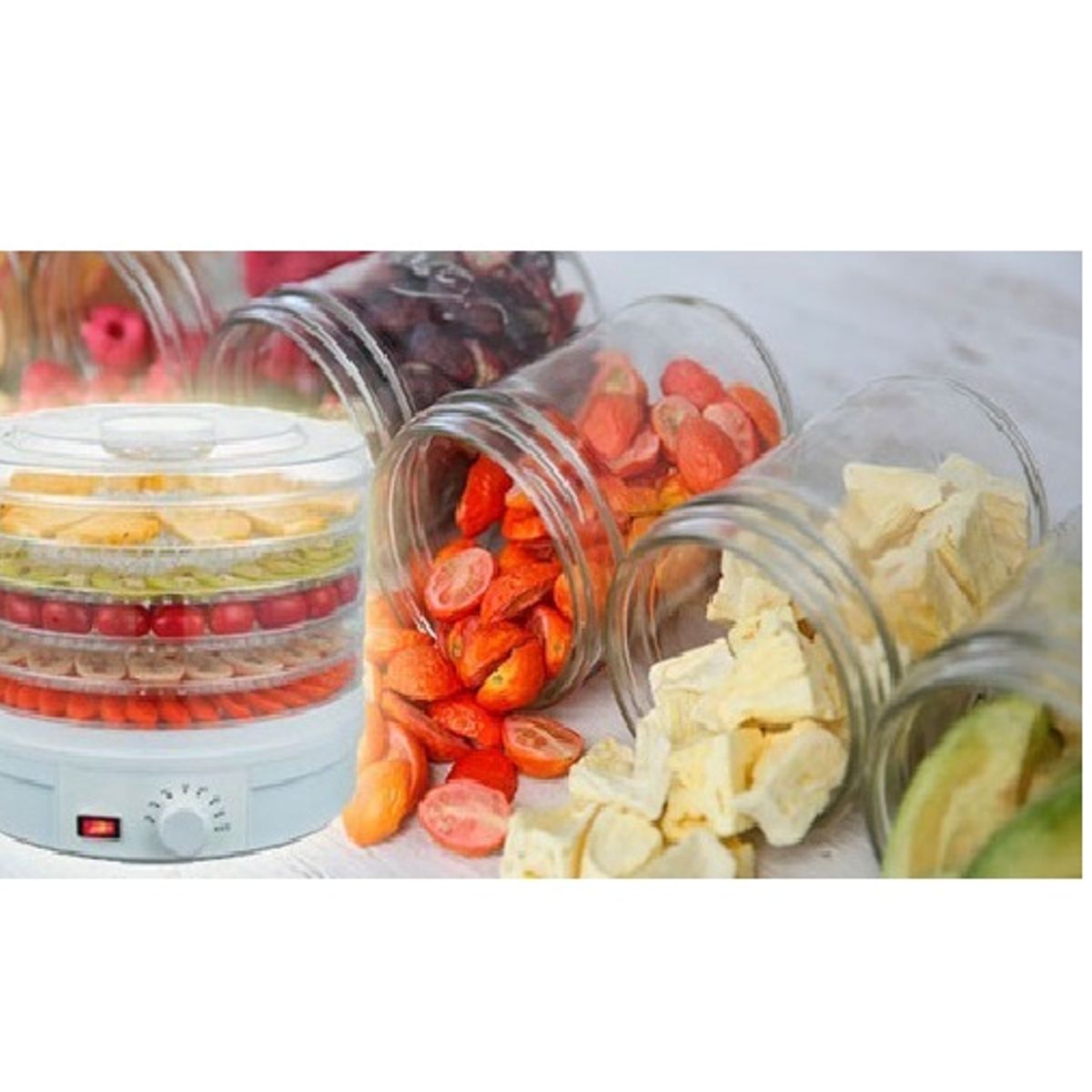 GENERICO - Máquina Deshidratadora Alimentos Comida Fruta 245W Deshidratador