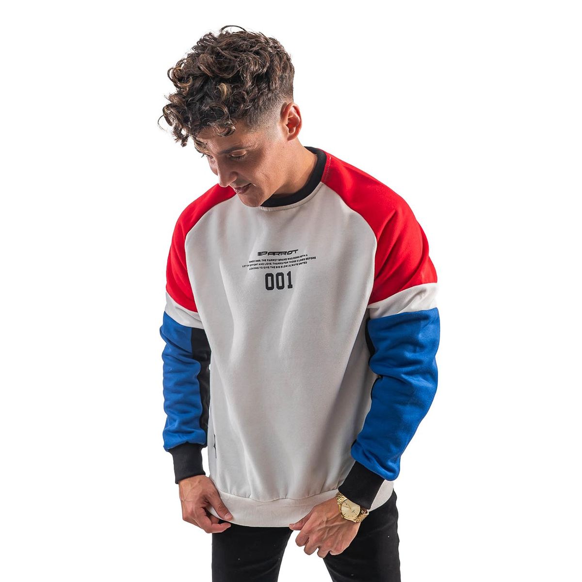 PARROT - Polerón cuello redondo diseño tricolor