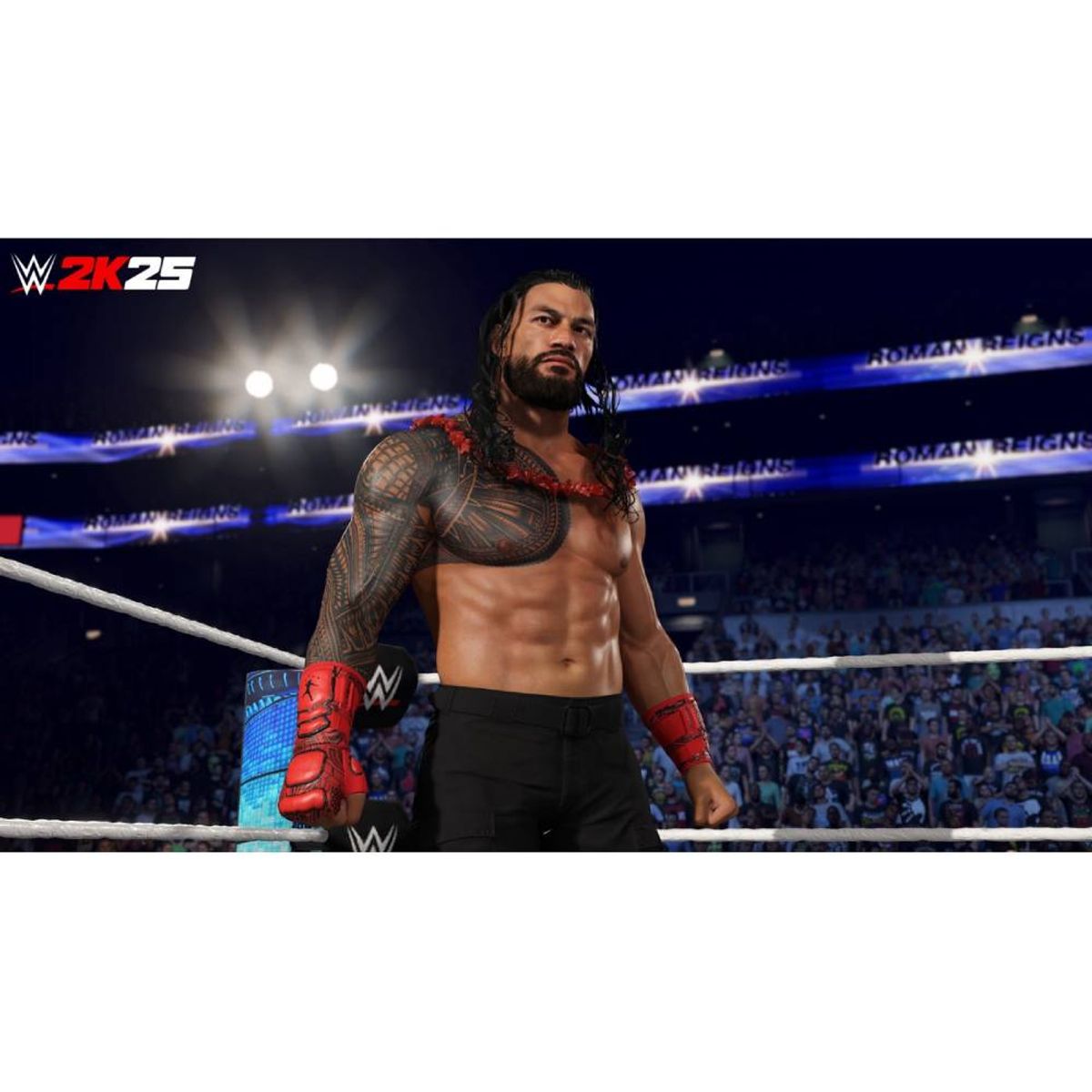 2K GAMES - WWE 2k25 Formato Físico Ps5 Snipercl