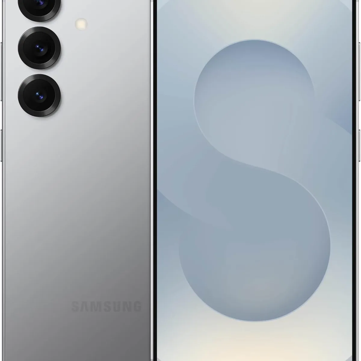 SAMSUNG - Samsung Galaxy S25 Dual Sim S9310 5G 256GB 12GB - Plata