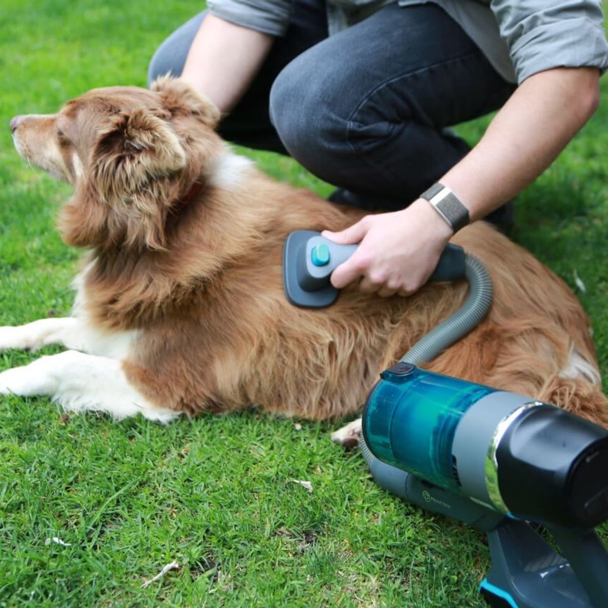 PRIMATERM - Cepillo Mascotas Aspiradora Inal X5-Full PRIMATERM