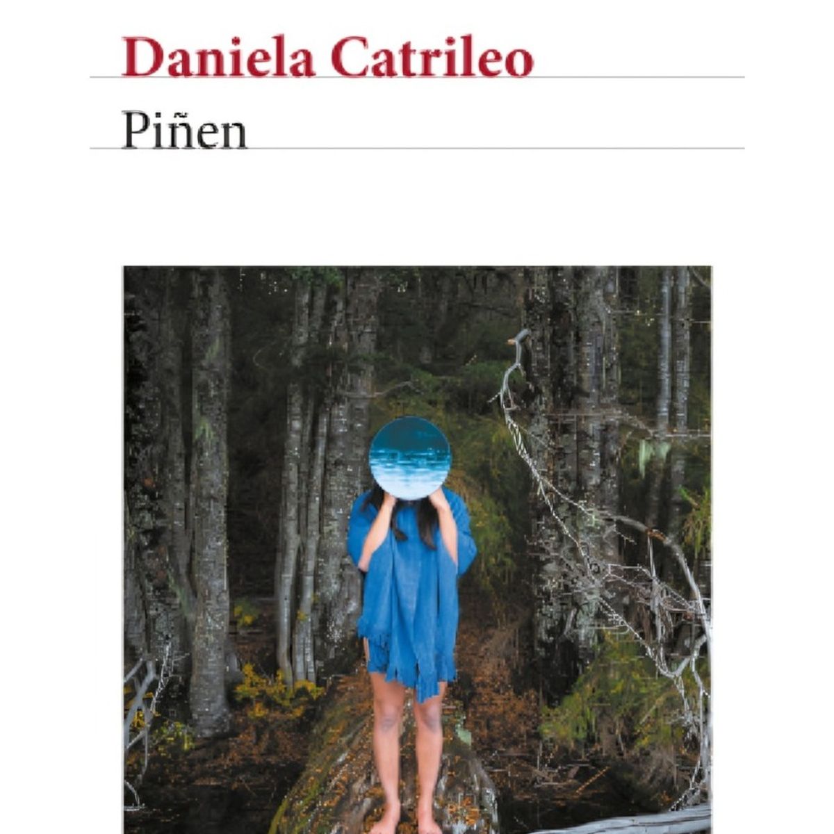 TOP10BOOKS - LIBRO Piñén - Piñén