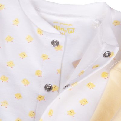 Imagen 2 del producto Osito Multicolor PVB229-25SUR - Multicolor - 00