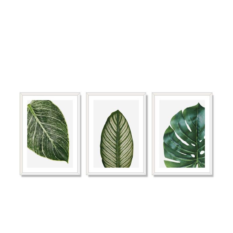 ALCUADRADO - Set Triple Cuadros Hojas vectorial Blanco 50x40 cm