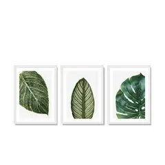 ALCUADRADO - Set Triple Cuadros Hojas vectorial Blanco 50x40 cm